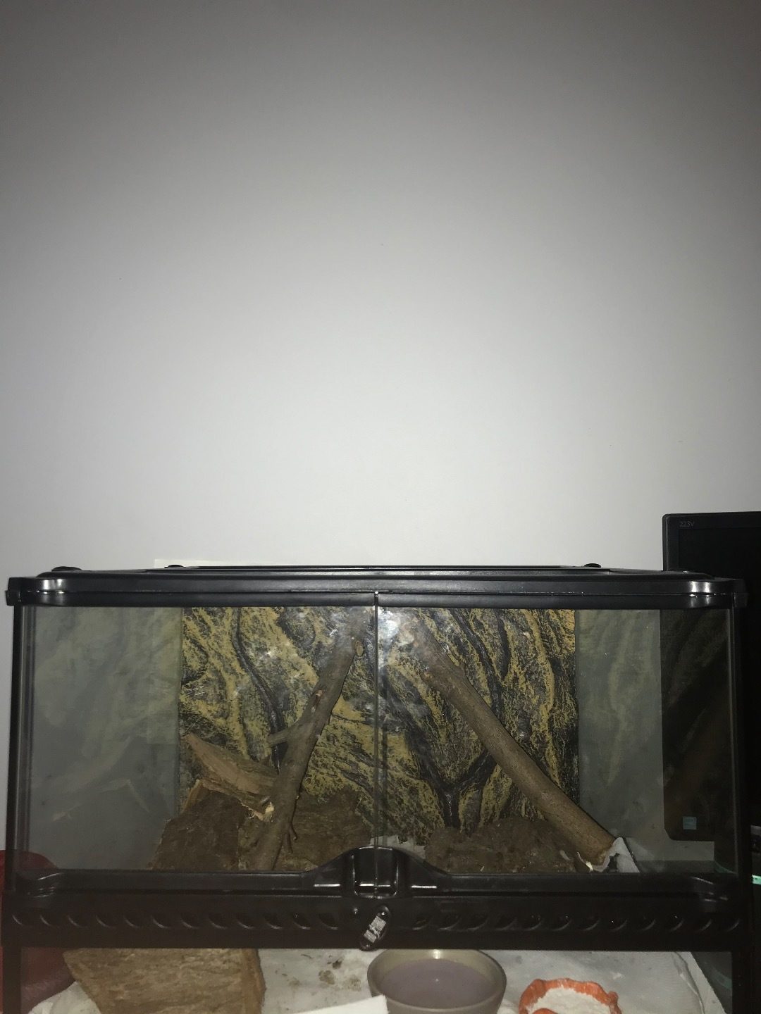 Gecko Léopard Juvénile +Terrarium Neuf Tout Equipe 95100