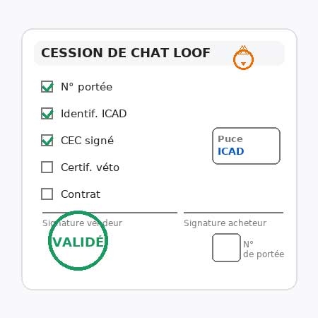 Démarches d’un éleveur de chats LOOF : de la saillie à la cession