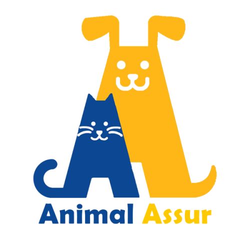 Avis Animal Assur : La Simplicité et l'Efficacité