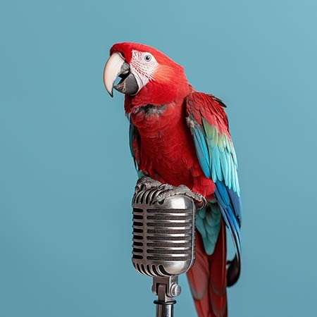 Quel perroquet parle vraiment le mieux ?
