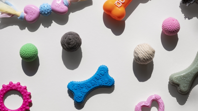 Sélection des Meilleurs Jouets pour Chien (2025)