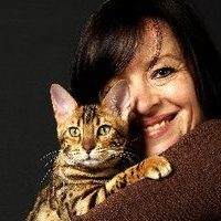 Egérie's Land : chats de bengal et de Maine-Coon