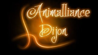 Association de placement de chiens & de chats (21)