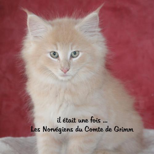 Les Norvégiens du Comte de Grimm