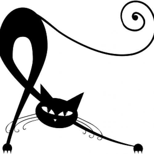 La passion des Maine Coons