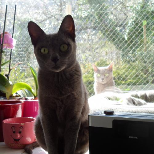 Chatterie Lancelot du lac