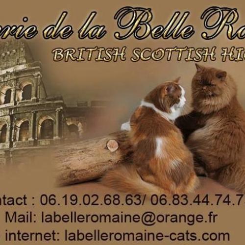 Elevage de la Belle Romaine.