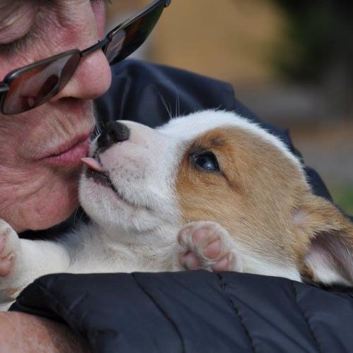 Elevage des Coteaux du Giron
