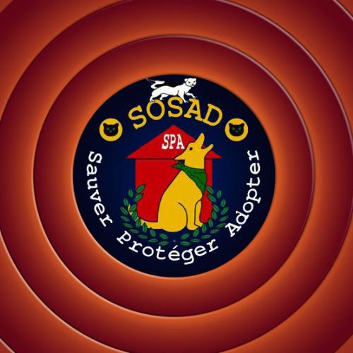 Association de protection et d'adoption animale