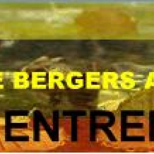 Elevage de Berger Allemand poil court et poil long