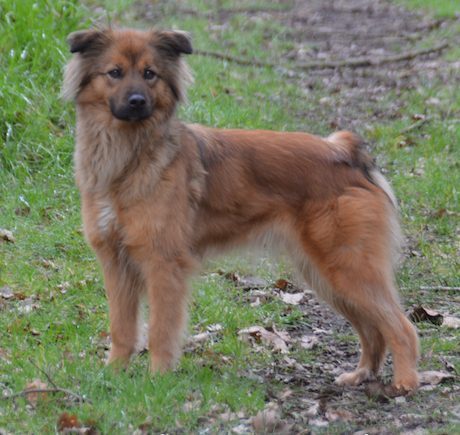 Elevage Familial de Patricia et Alain Saclier