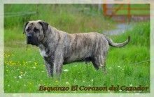 elevage du hameau de fontenay