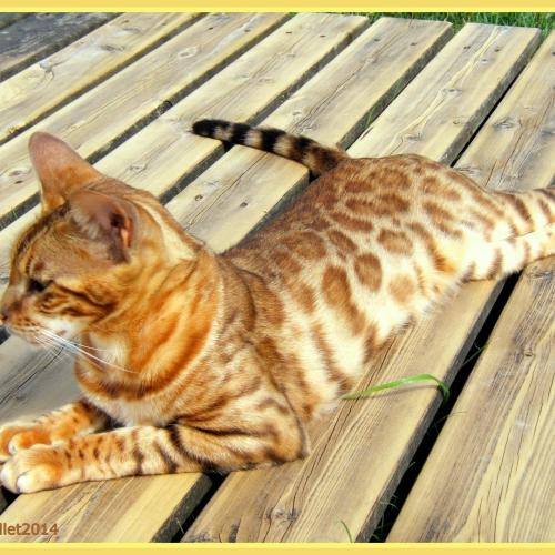 Elevage de la Mathausière