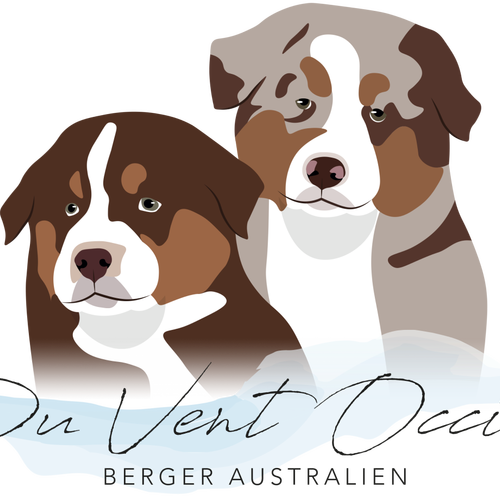 Du Vent Occitan - Aussies -