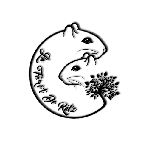 Les Gerbilles de La Forêt de Retz