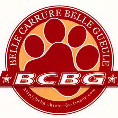 Eleveuse de Bouledogue depuis 2002 en Rhône-Alpes