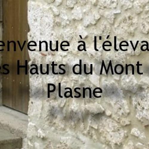 élevage des hauts du mont de plasne