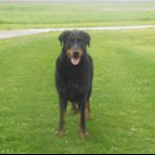 Elevage des bergers du vent