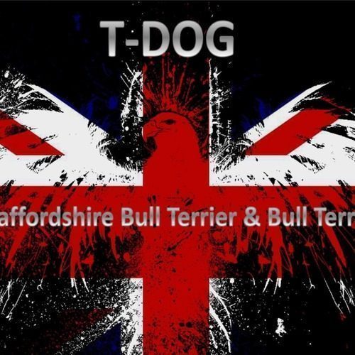 T-DOG Pour des chiots biens dans leurs coussinets