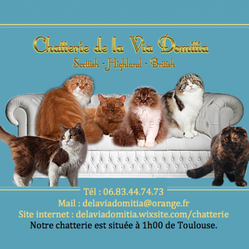 Chatterie De La Via Domitia