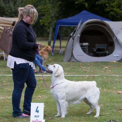 Élevage Glazik en Aour Melen
