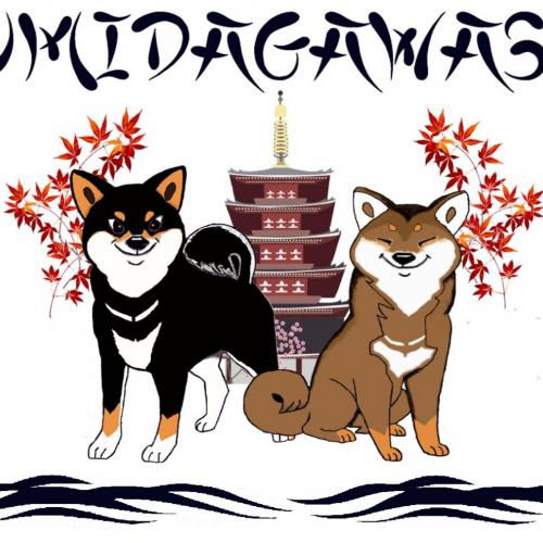 élevage sumidagawasou