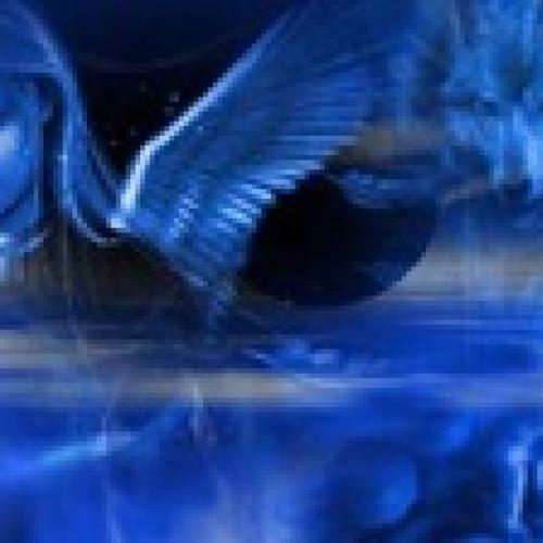 Eleveur : de Patous de l'ange des Vosges du nord