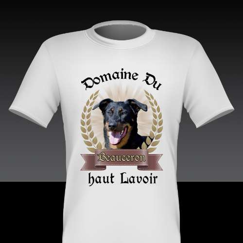 Elevage des Beaucerons du Domaine du Haut Lavoir