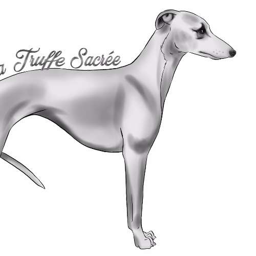 Elevage de la Truffe Sacrée