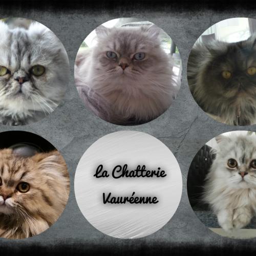 La Chatterie Vauréenne