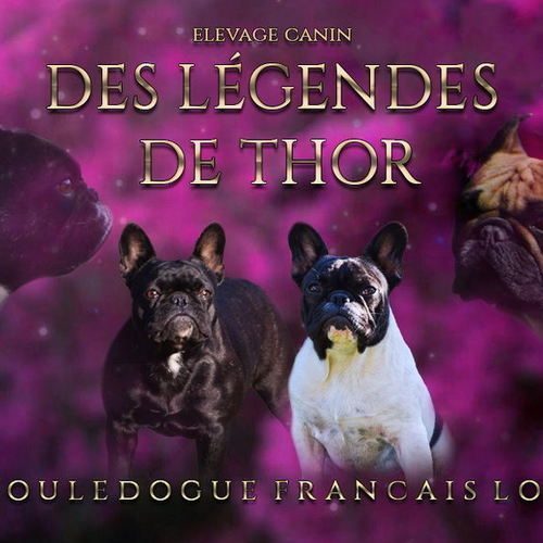 L'élevage par passion et la passion de l'élevage