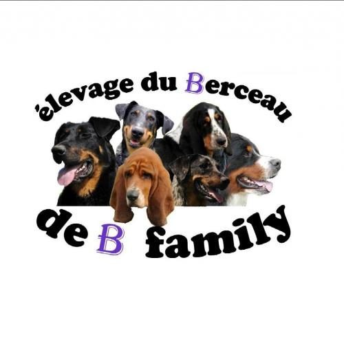 élevage du berceau de b family