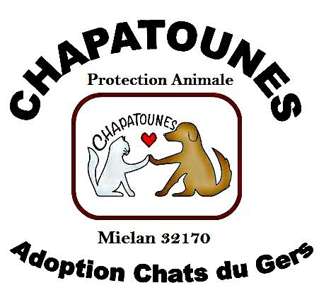 Association de protection animale