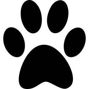 Association les 4 pattes du pays de liffré