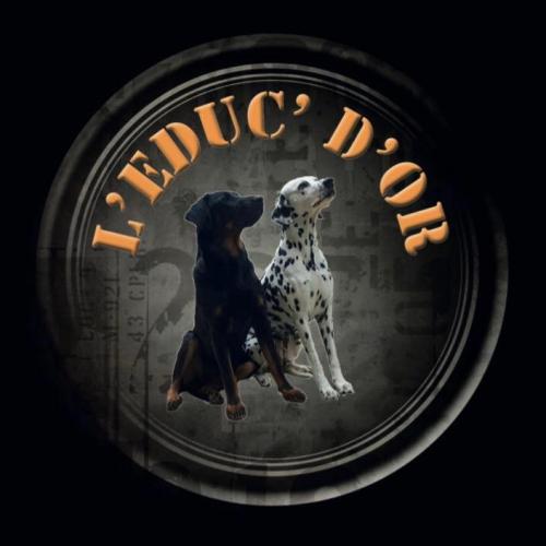 Educ d’Or cour d’Éducation Canine