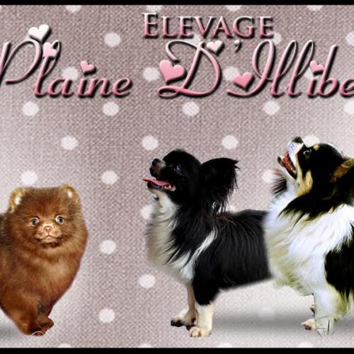 Amour et Passion....