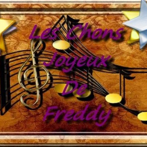 cochon d inde de race péruvien et alpaga