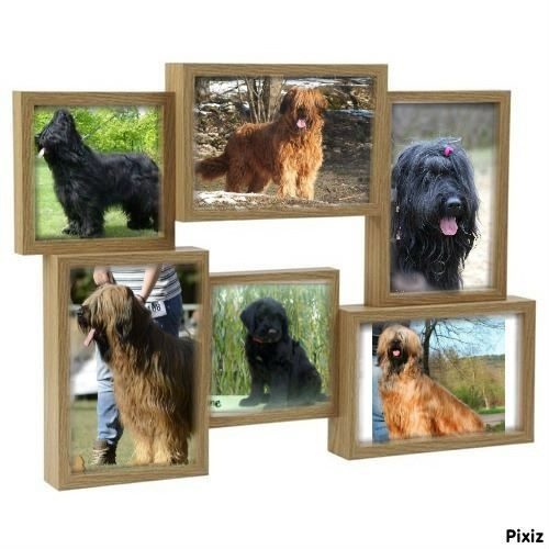 Elevage du val de Morteau