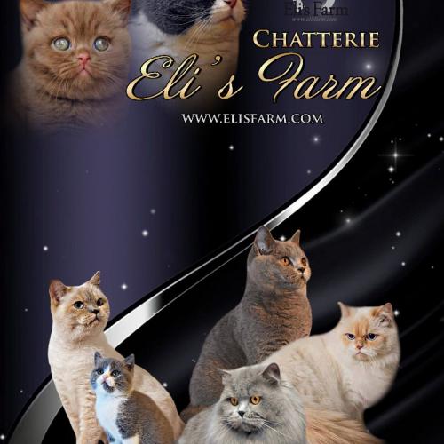 Chatterie ELI'S FARM