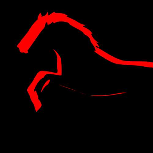 coach comportementaliste et palefrenier soigneur