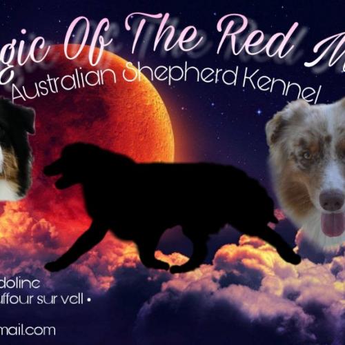 Magic Of The Red Moon