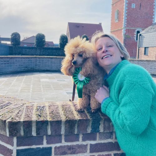 Caniche nain du temple de xephi