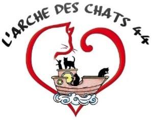 l'Arche des Chats 44 Adoption chats Adultes
