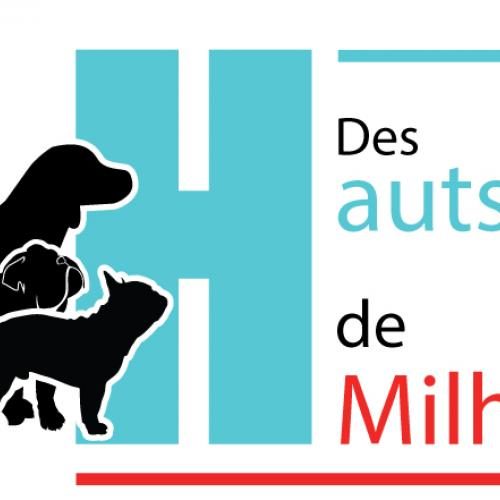 Elevage beagle - pension canine du parc d'Issanka