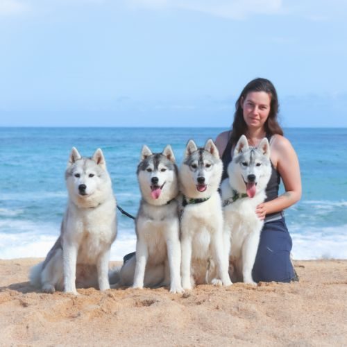 Petit élevage passionné