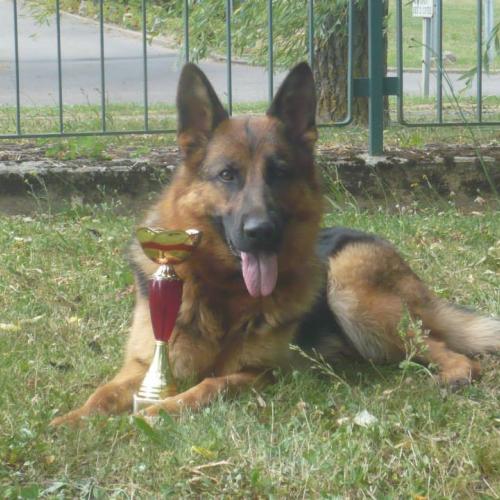 Elevage des Légendes du Castel