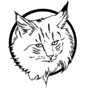 Elevage de chat norvégien