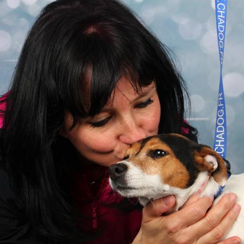 Toilettage à domicile