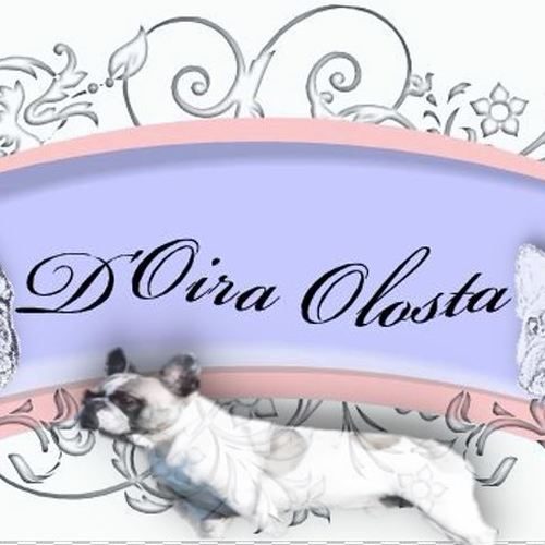 Elevage canin familial D'Oira Olosta