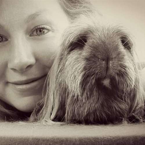 Les Cobayes de la liss'